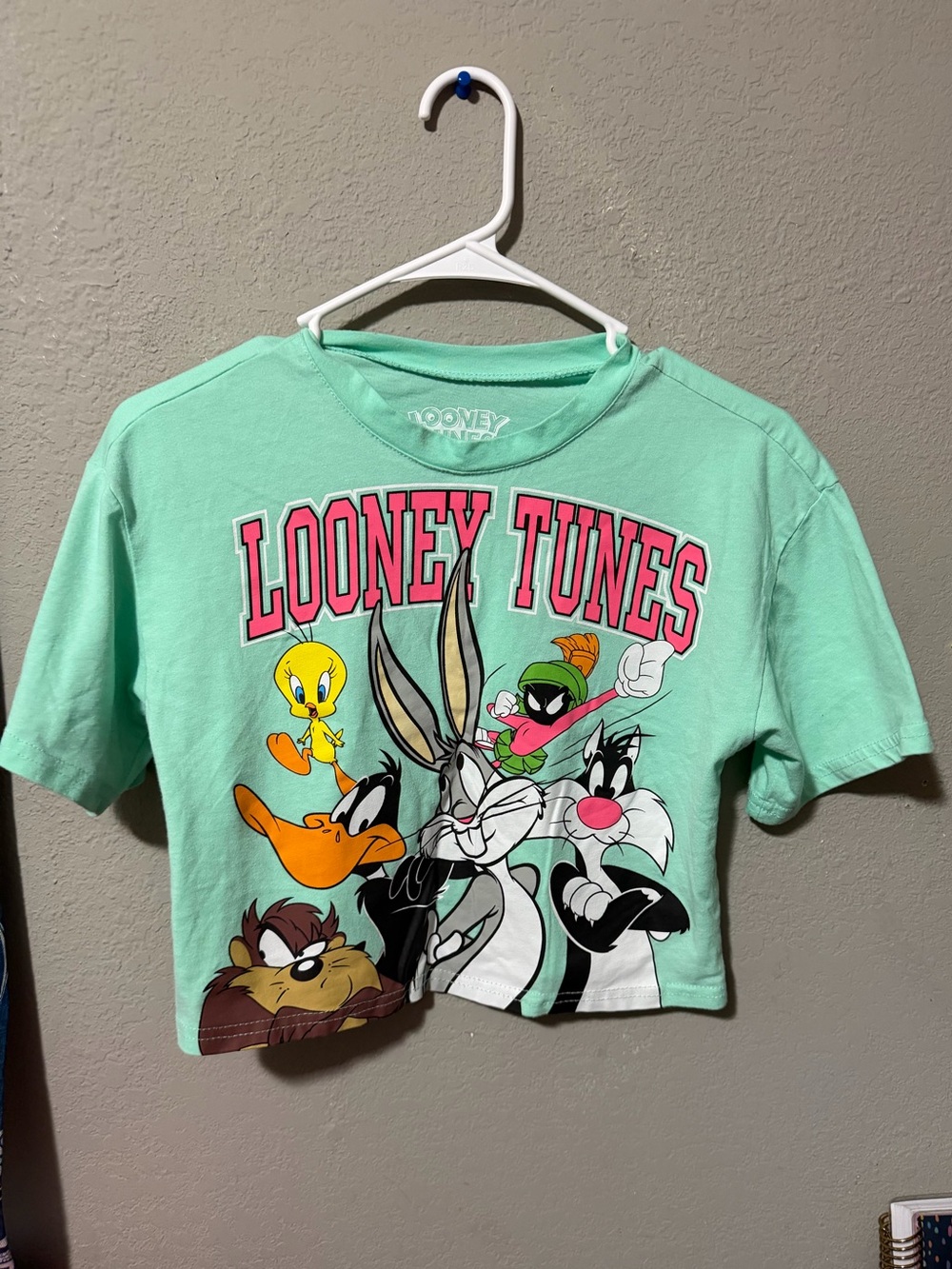 Mint Green Looney Tunes Crop Tee